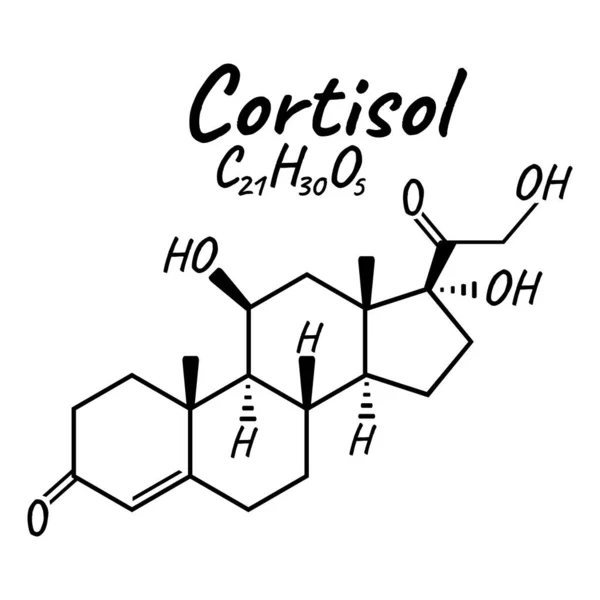 Hormone Humaine Cortisol Concept Chimique Squelette Formule Icône Étiquette Texte — Image vectorielle