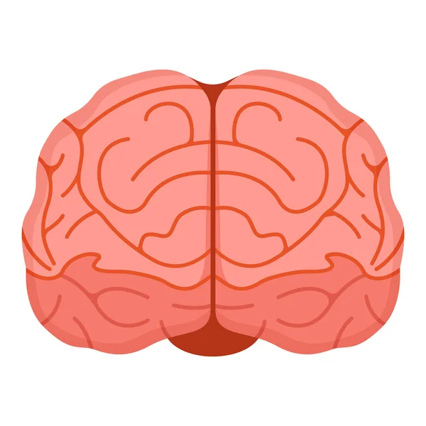 Människans Hjärna Ikon Koncept Tecknad Vektor Illustration Isolerad Vit Hälsosam — Stock vektor