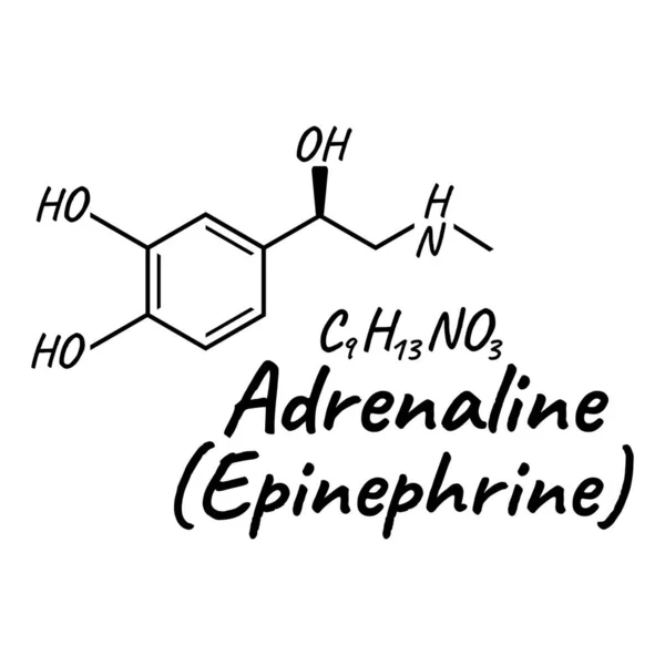 Human Hormone Adrenaline Epinephrine Concept Chemical Skeletal Formula Icon Label — Stock Vector