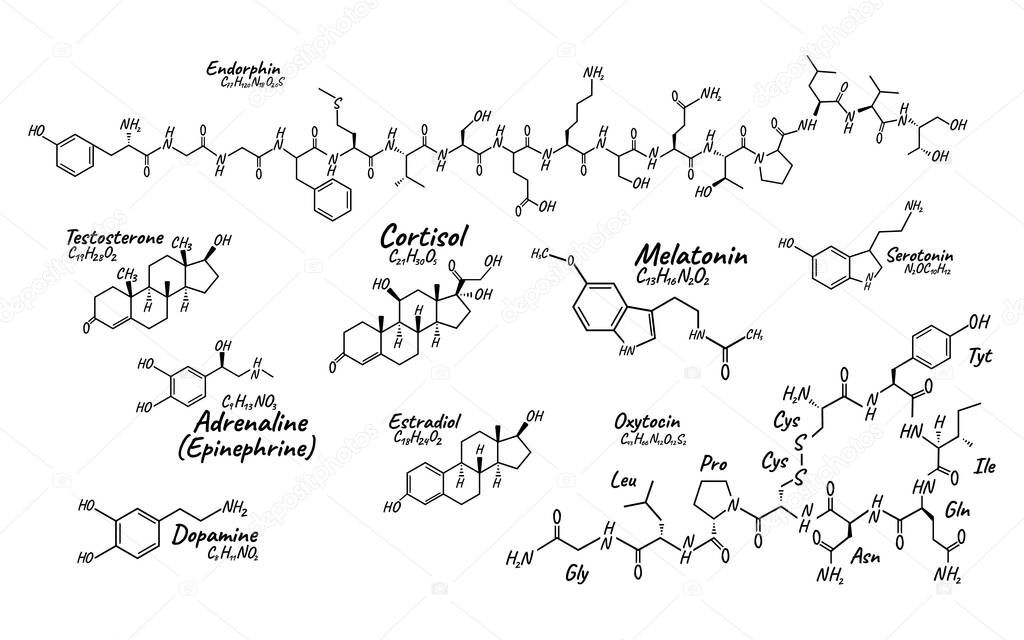 Human big set hormone concept chemical skeletal formula icon label, text font vector illustration, isolated on white. Periodic element table. Healthy lifestyle endocrine system.