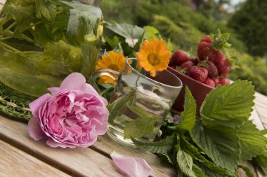 Yaz çay bahçesinde