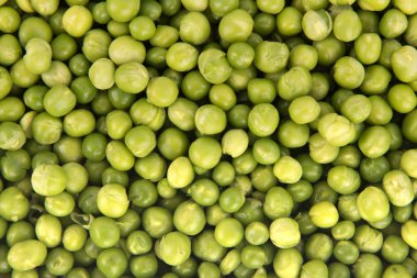 yeşil fasulye bir sürü grup