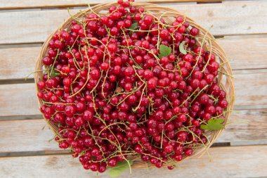 Kırmızı frenk üzümü masada.