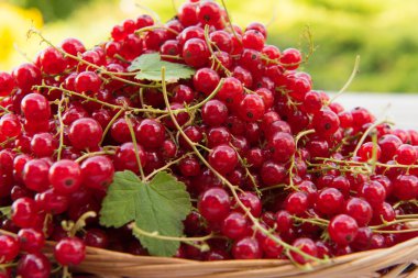 Kırmızı frenk üzümü masada.