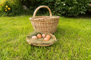 Sepetteki yumurtalar