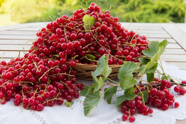 Kırmızı frenk üzümü masada.