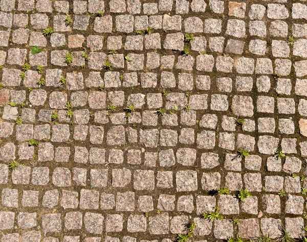 Stone pavement  mosaic texture — Stock Photo, Image