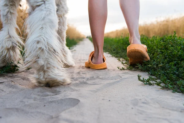 Dia de verão mulher andando com um cão — Fotografia de Stock