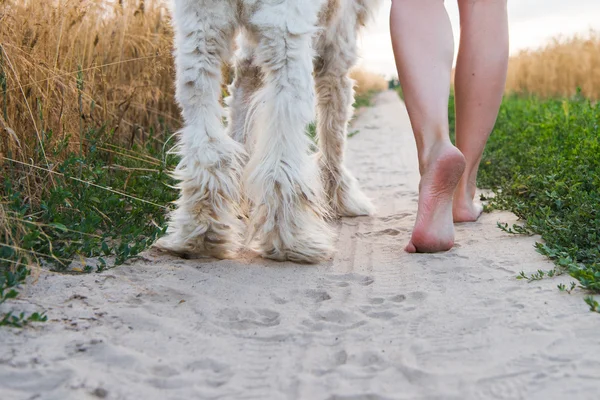犬と一緒に歩いている夏の日女性 — ストック写真
