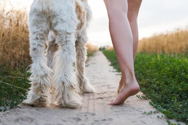 Latem dzień kobieta spaceru z psem — Zdjęcie stockowe