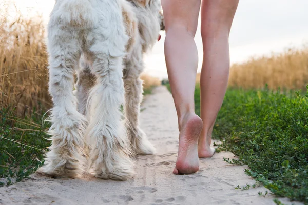 yaz gün kadın ile köpek yürüyüş