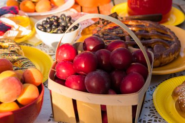 güneşli bir arka bahçesinde bir piknik