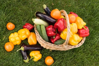 Sebze yeşil çim bir arka plan ayarla