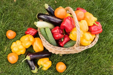 Sebze yeşil çim bir arka plan ayarla