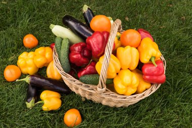 Sebze yeşil çim bir arka plan ayarla