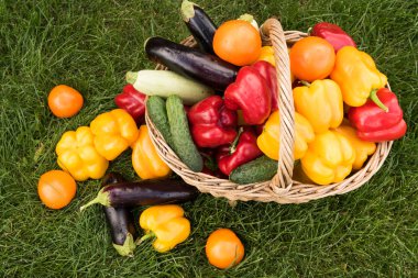 Sebze yeşil çim bir arka plan ayarla