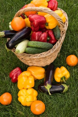 Sebze yeşil çim bir arka plan ayarla