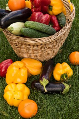 Sebze yeşil çim bir arka plan ayarla