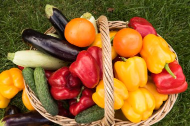 Sebze yeşil çim bir arka plan ayarla