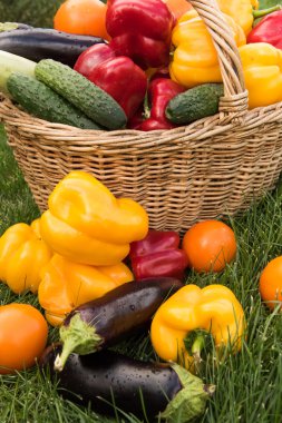 Sebze yeşil çim bir arka plan ayarla