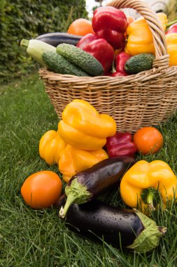 Sebze yeşil çim bir arka plan ayarla