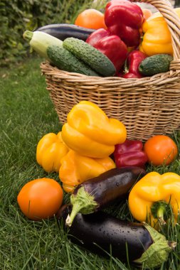 Sebze yeşil çim bir arka plan ayarla