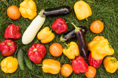 Sebze yeşil çim bir arka plan ayarla