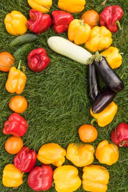 Sebze yeşil çim bir arka plan ayarla