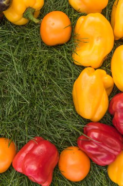 Sebze yeşil çim bir arka plan ayarla