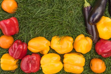 Sebze yeşil çim bir arka plan ayarla