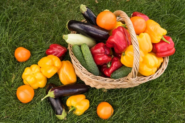 Sebze yeşil çim bir arka plan ayarla