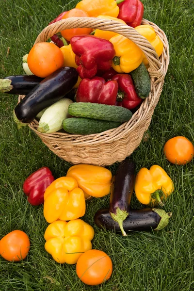 Sebze yeşil çim bir arka plan ayarla