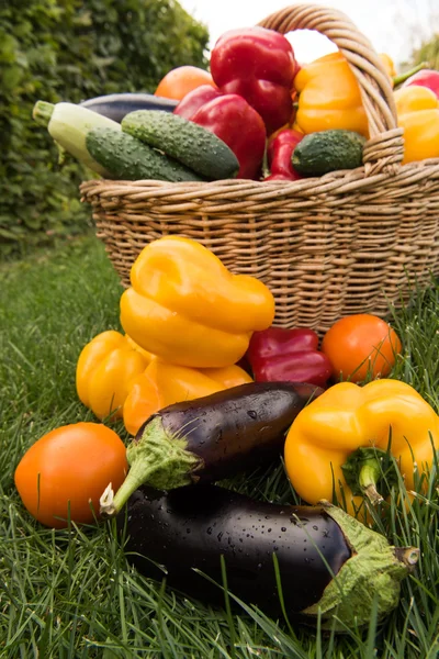 Sebze yeşil çim bir arka plan ayarla