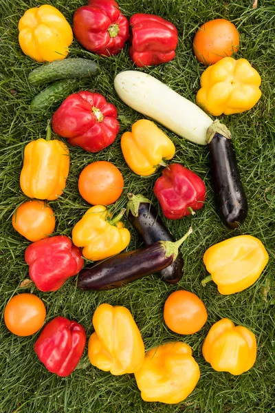 Jogo de verduras em um contexto de grama verde — Fotografia de Stock