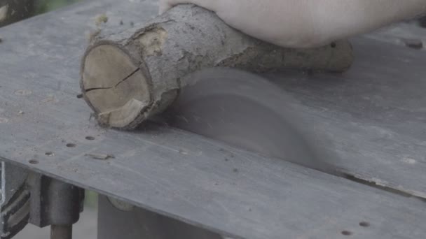 Trabajos de aserrado de madera — Vídeo de stock