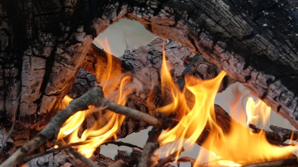 bir kamp ateşi kömürlerin üzerinde alev