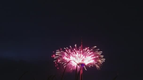 A vörös tűzijáték az égen a függetlenség napján Tallinnban Észtország — Stock videók