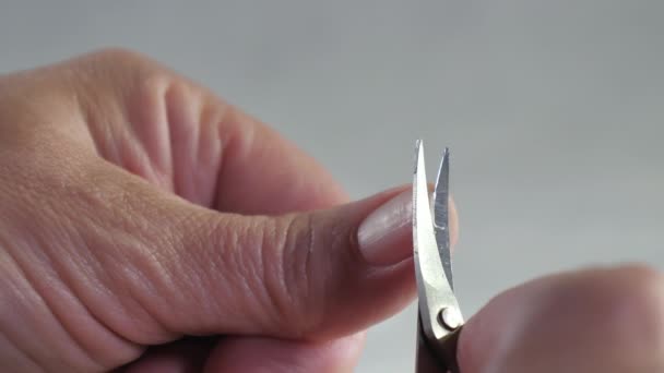 Более пристальный взгляд ножниц, обрезающих длинные ногти — стоковое видео