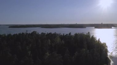 Helsinki 'de Baltık Denizi' ndeki bir adadaki ağaçlar