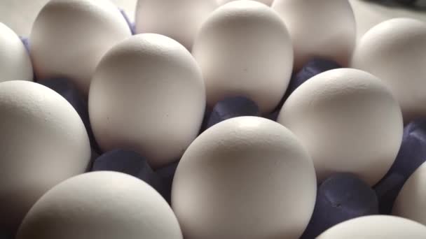 Dichterbij kijken van de grote witte eieren op het dienblad — Stockvideo