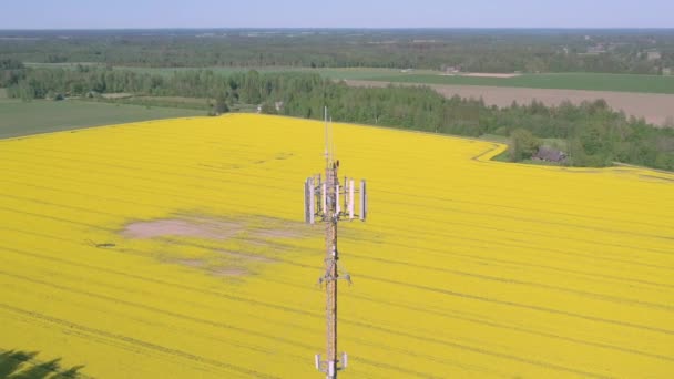 I pannelli di comunicazione mobile della torre in Estonia — Video Stock