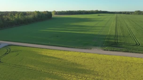 An aerial view of the agricultural field in Estonia — Stock Video