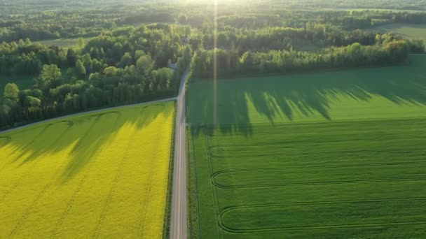 Pandangan udara dari bidang pertanian di Estonia — Stok Video