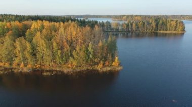 Finlandiya 'da Saimaa Gölü' nün kenarında yüzlerce ağaç. Jeoloji pompalı tüfeği.
