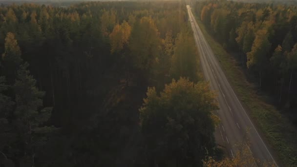 Zdjęcie lotnicze długiej drogi w Finlandii.geologia ujęcia 4k — Wideo stockowe