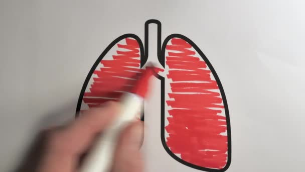 Χρωματισμός προς τα πίσω ταχύτητα του κόκκινου πνεύμονα εικονογράφηση — Αρχείο Βίντεο