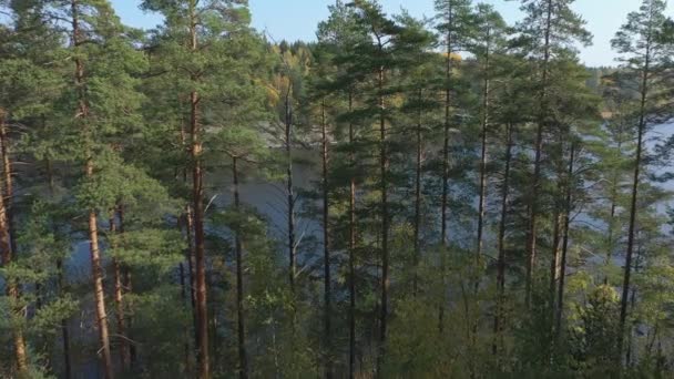An aerial view of the Lake Saimaa with the tall trees in Finland.geology shot.4k — Stockvideo