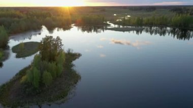 Ao Estonya 'daki bataklık manzarası