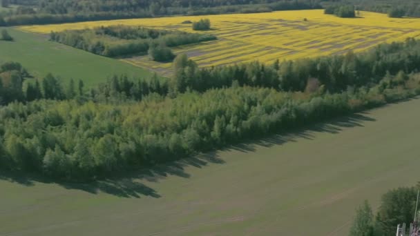Αεροφωτογραφία τοπίου των δέντρων και των πεδιάδων στην Εσθονία — Αρχείο Βίντεο