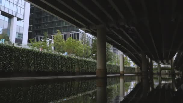 日本东京水渠侧边的藤蔓 — 图库视频影像